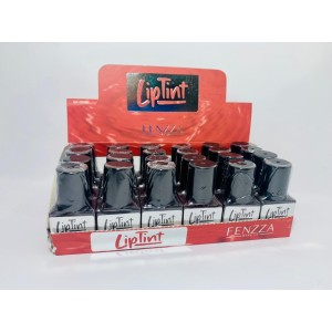 FZ24010 LIP TINT FENZZA C/24