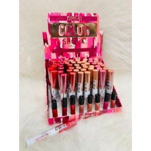 CS2872 LIP GLOSS MATTE COLOR SHOCK PINK 21 C/48