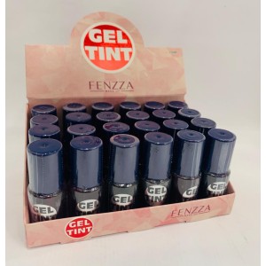FZ24007 GEL TINT FENZZA C/24