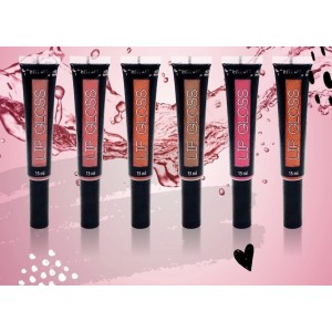 BF10010 LIP GLOSS C/ 24